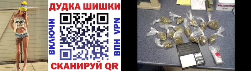 Конопля сатива  где найти наркотики  Шадринск 